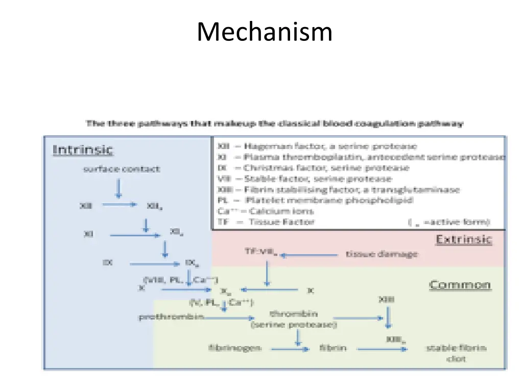 mechanism