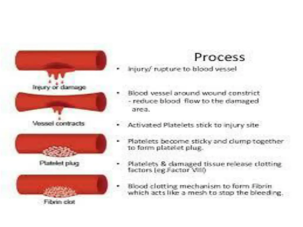 slide2