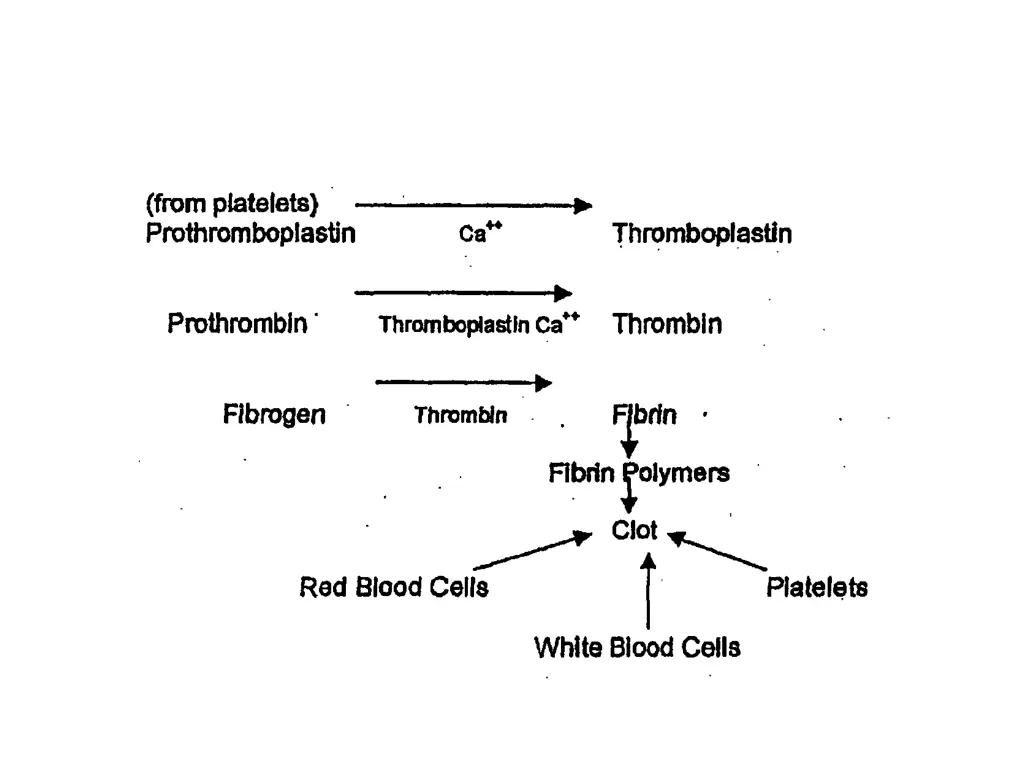 slide3