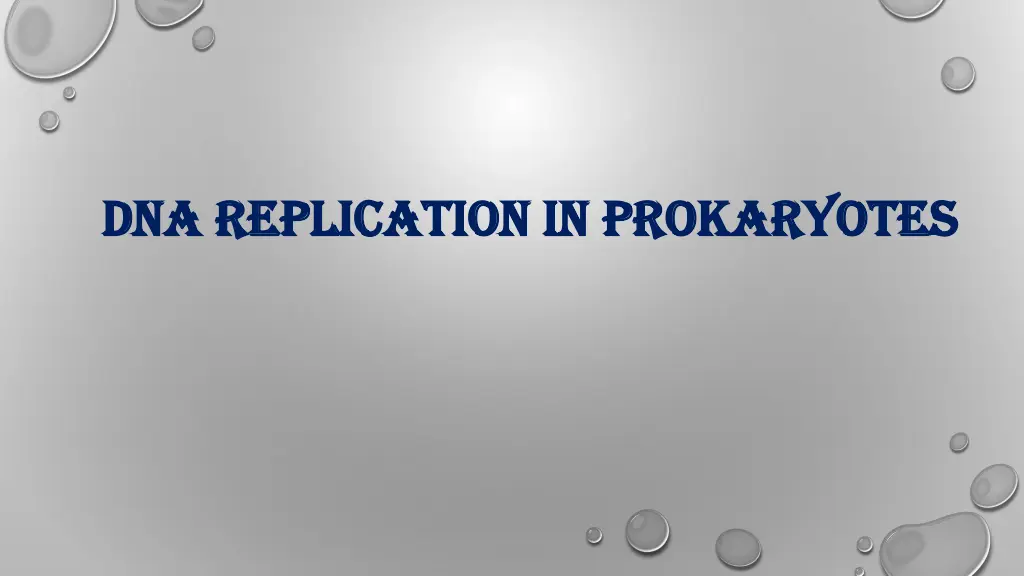 dna replication in prokaryotes dna replication
