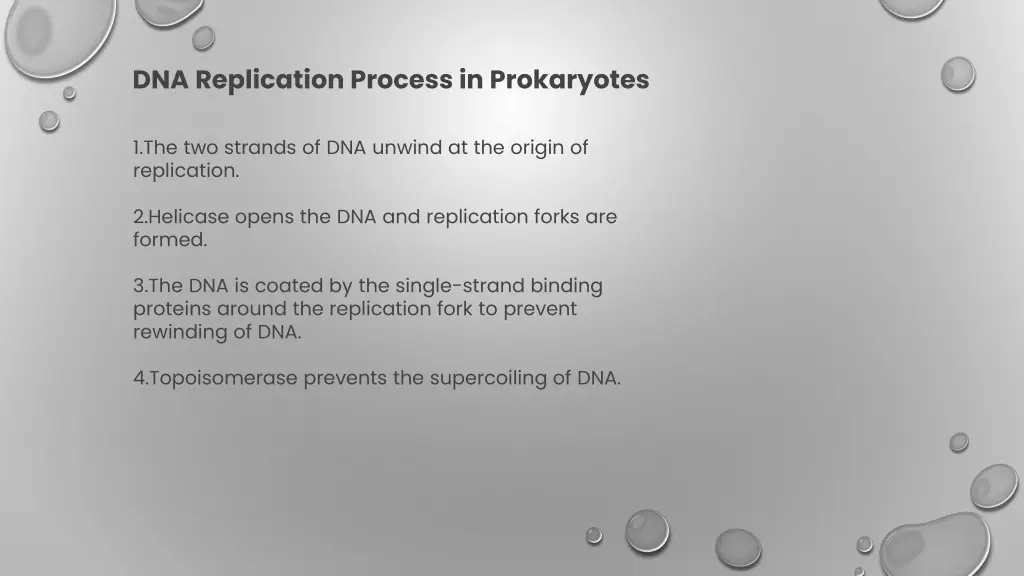 dna replication process in prokaryotes