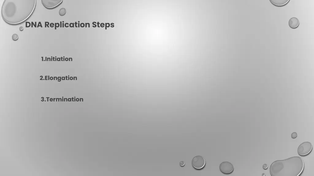 dna replication steps