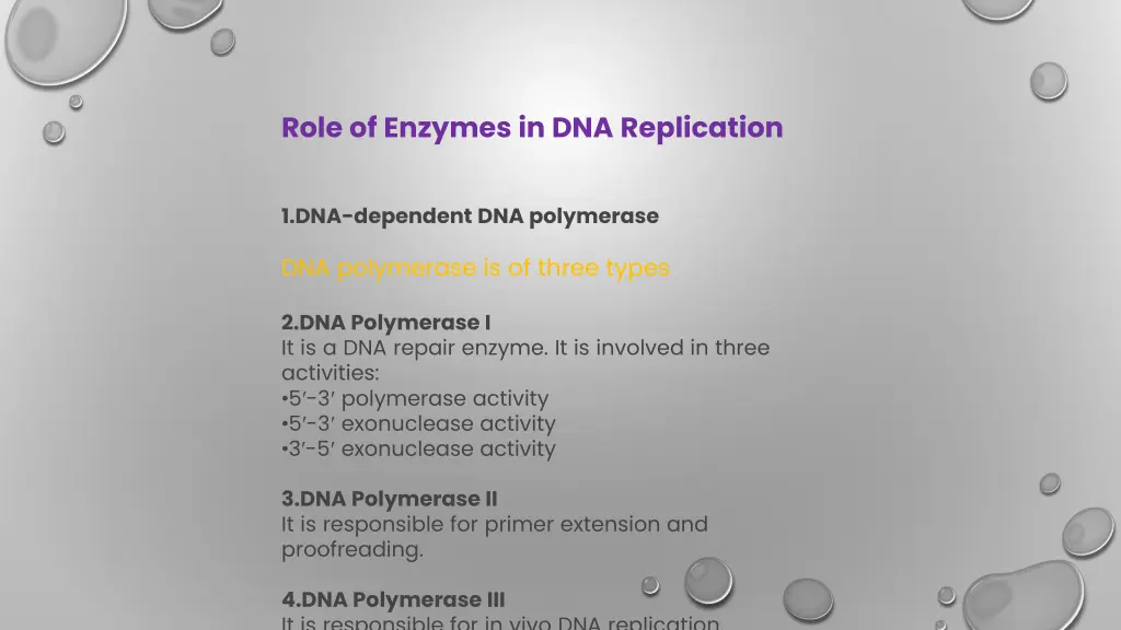 role of enzymes in dna replication