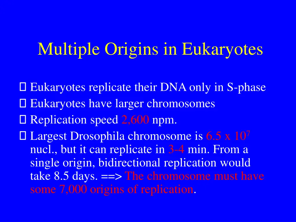 multiple origins in eukaryotes