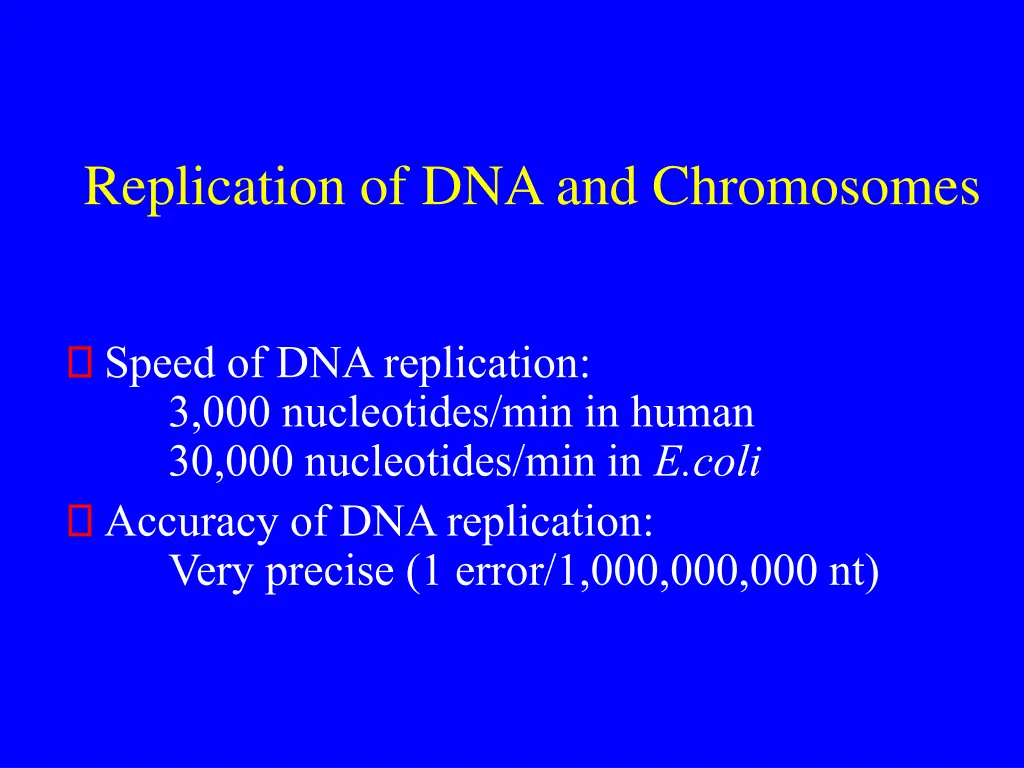 replication of dna and chromosomes