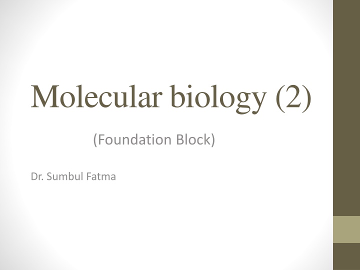 molecular biology 2