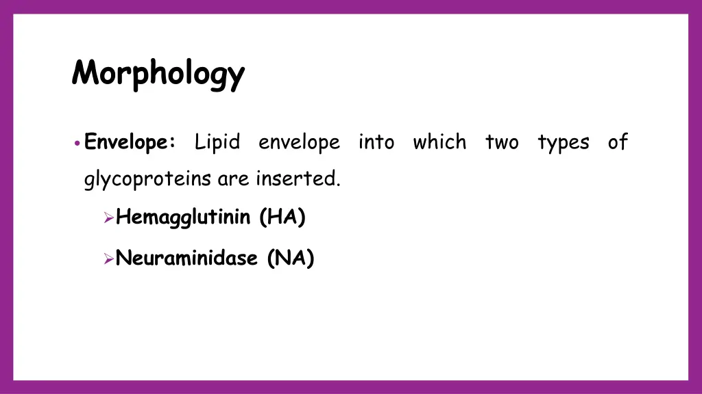 morphology 4