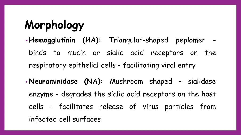 morphology 5