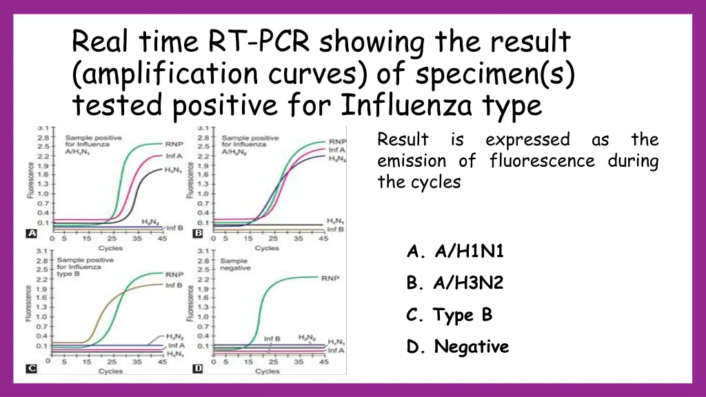 real time rt pcr showing the result amplification