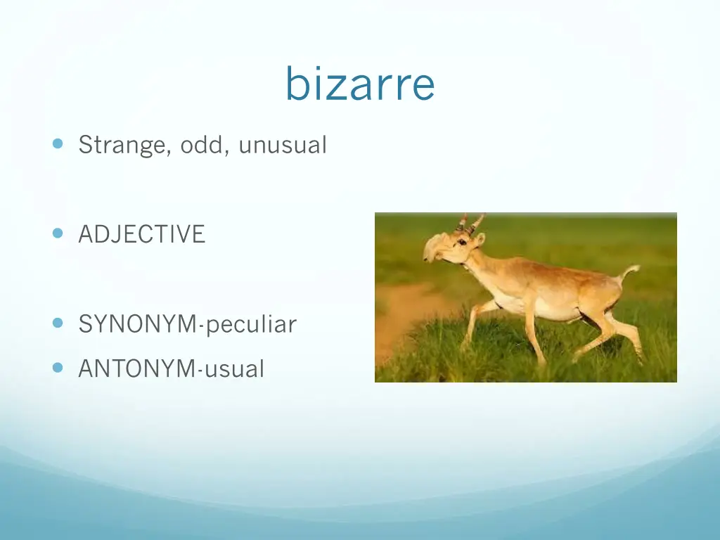 bizarre