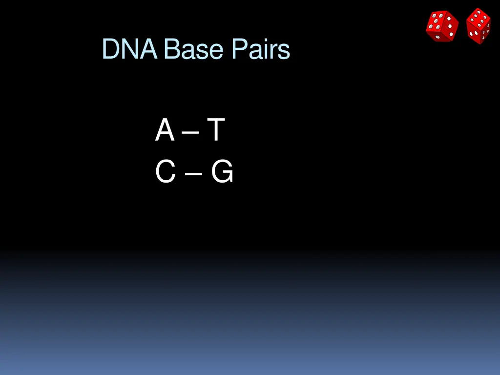 dna base pairs