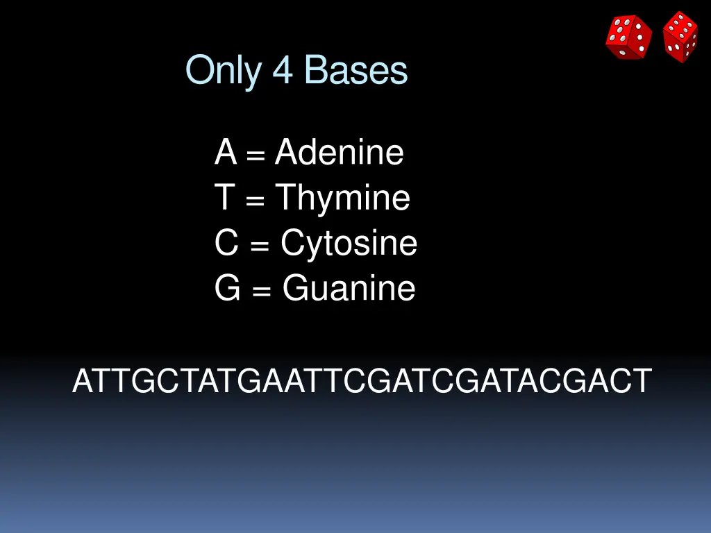 only 4 bases