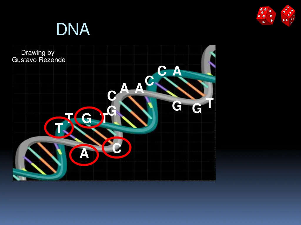 slide30