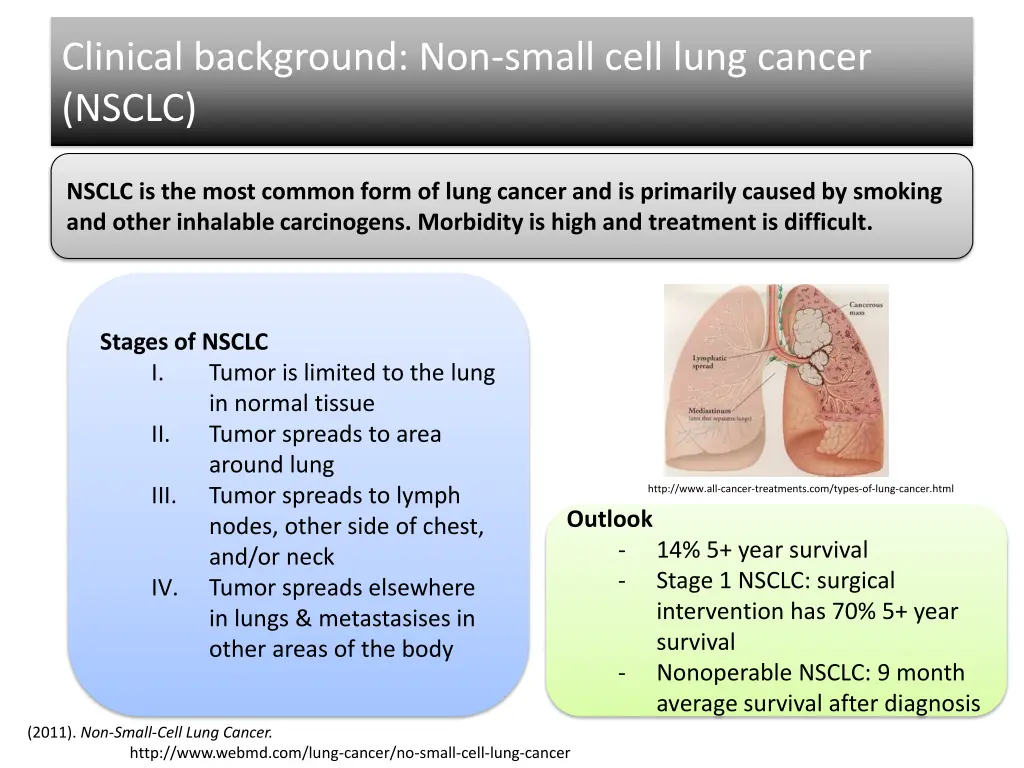 clinical background non small cell lung cancer