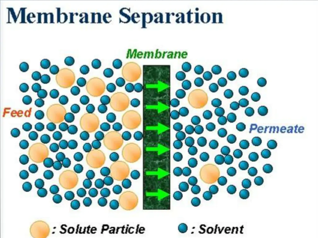 slide20