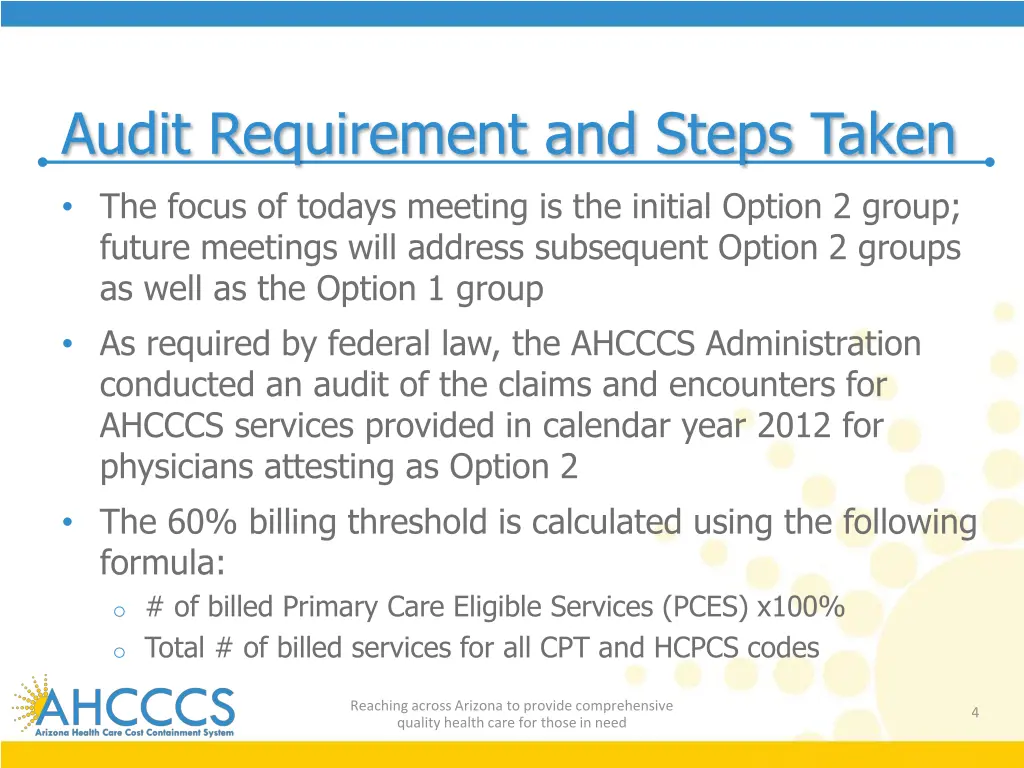 audit requirement and steps taken