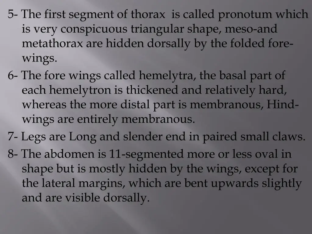 5 the first segment of thorax is called pronotum