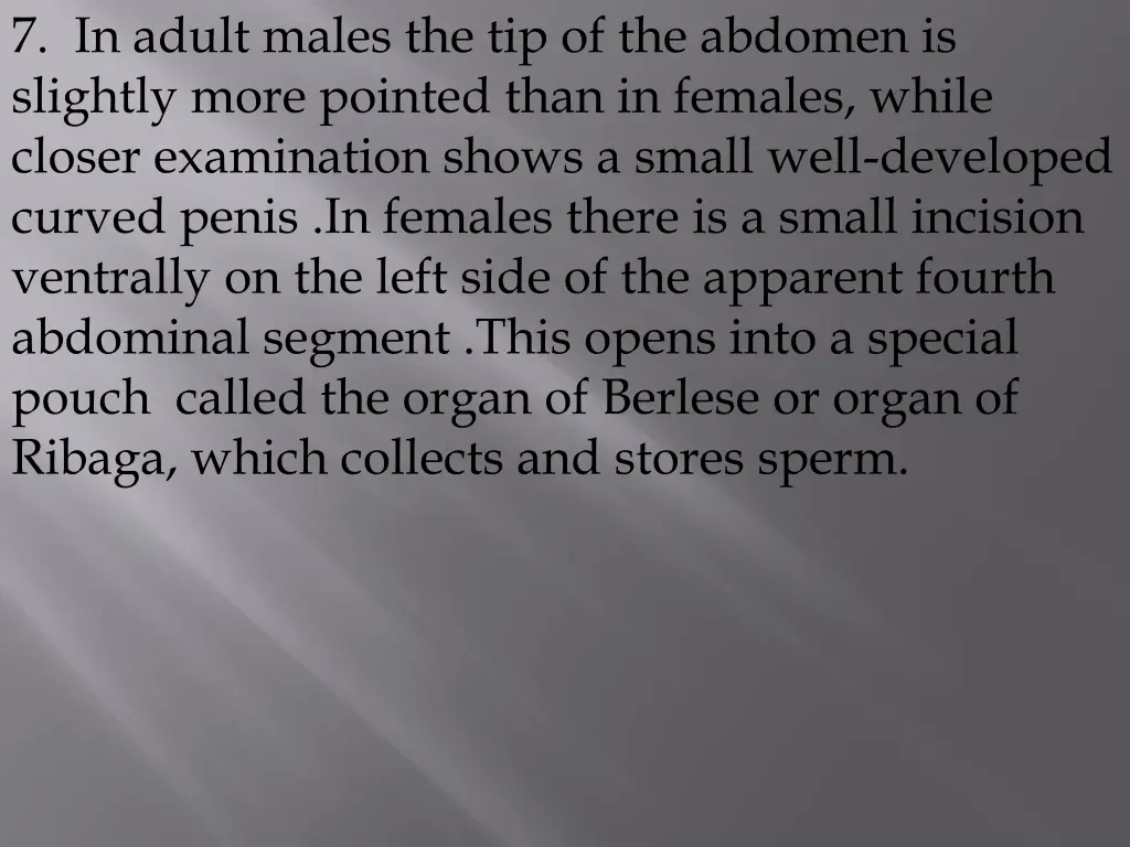 7 in adult males the tip of the abdomen