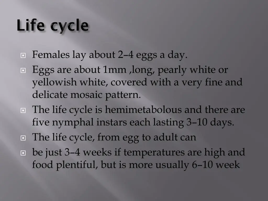 females lay about 2 4 eggs a day eggs are about