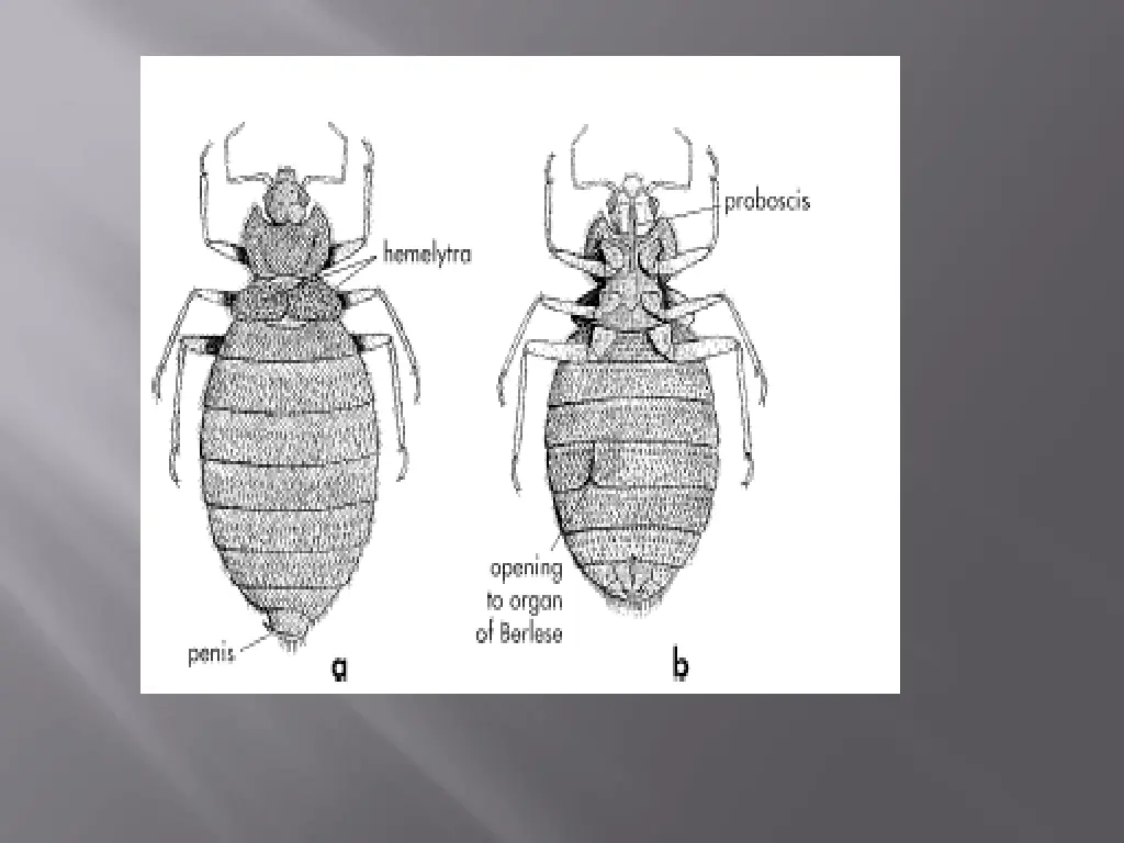 slide7