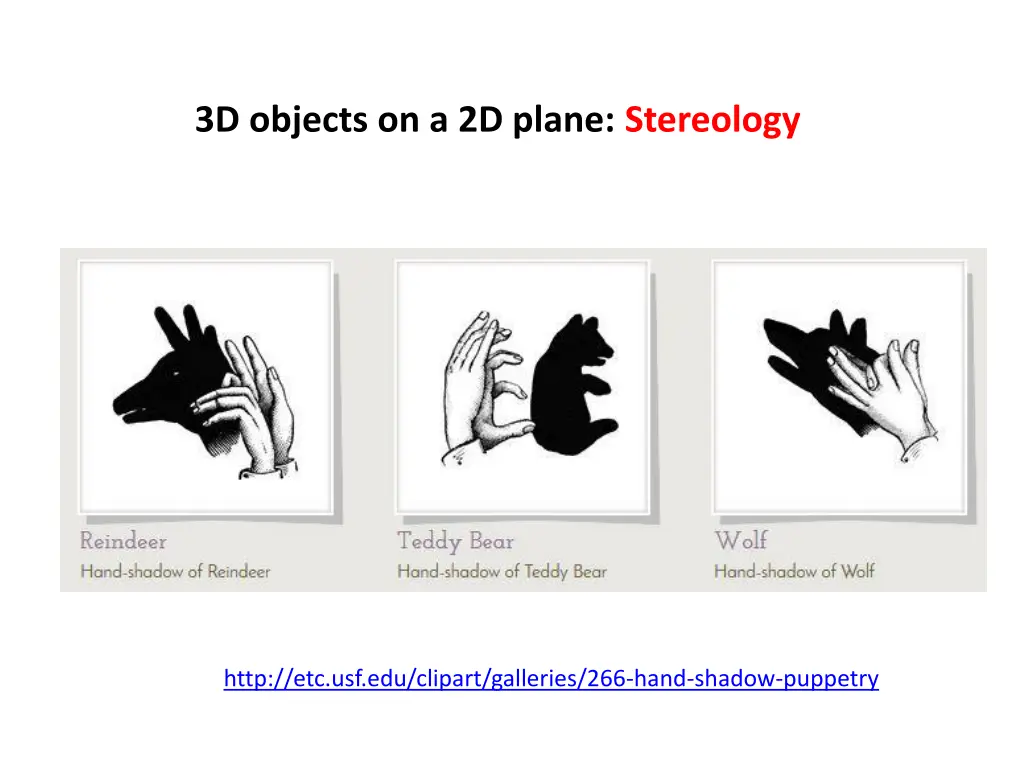 3d objects on a 2d plane stereology