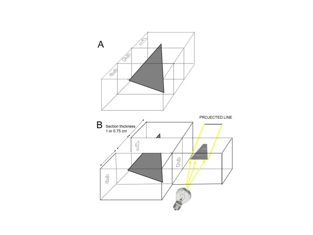 slide12
