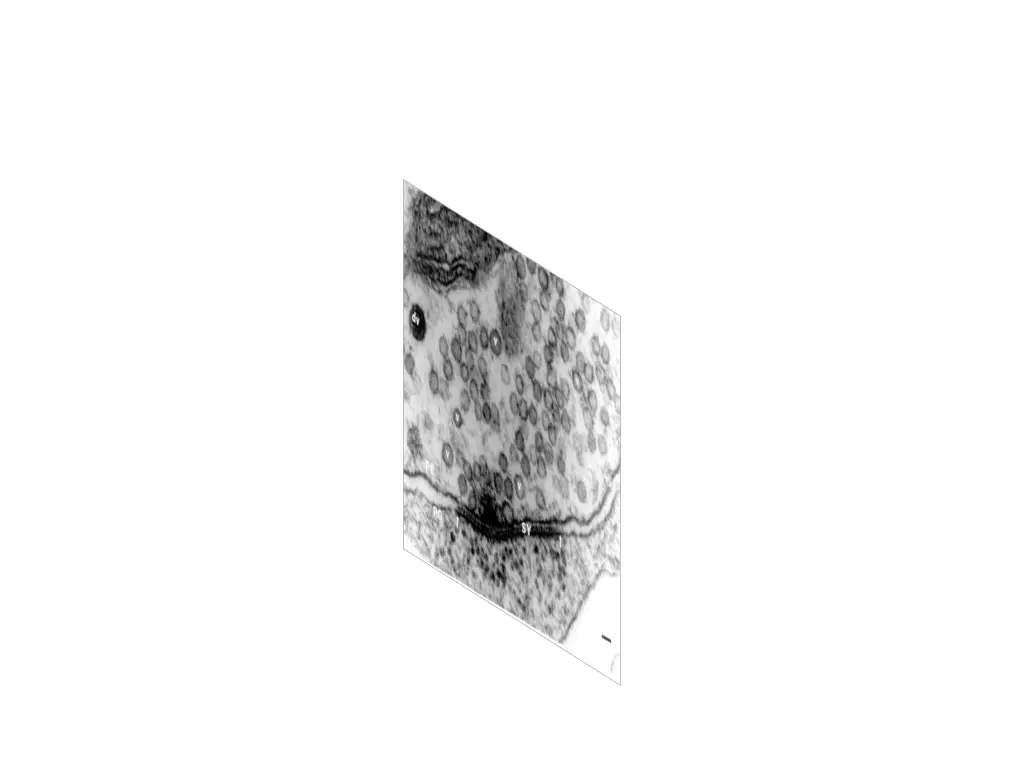slide14