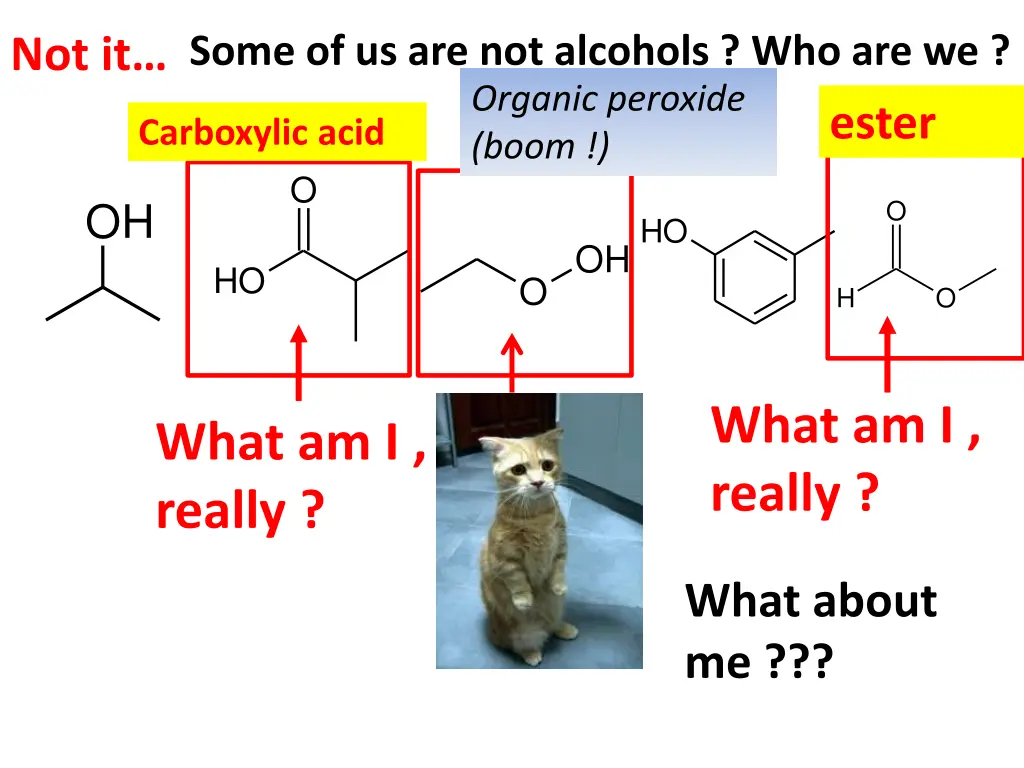 some of us are not alcohols who are we organic