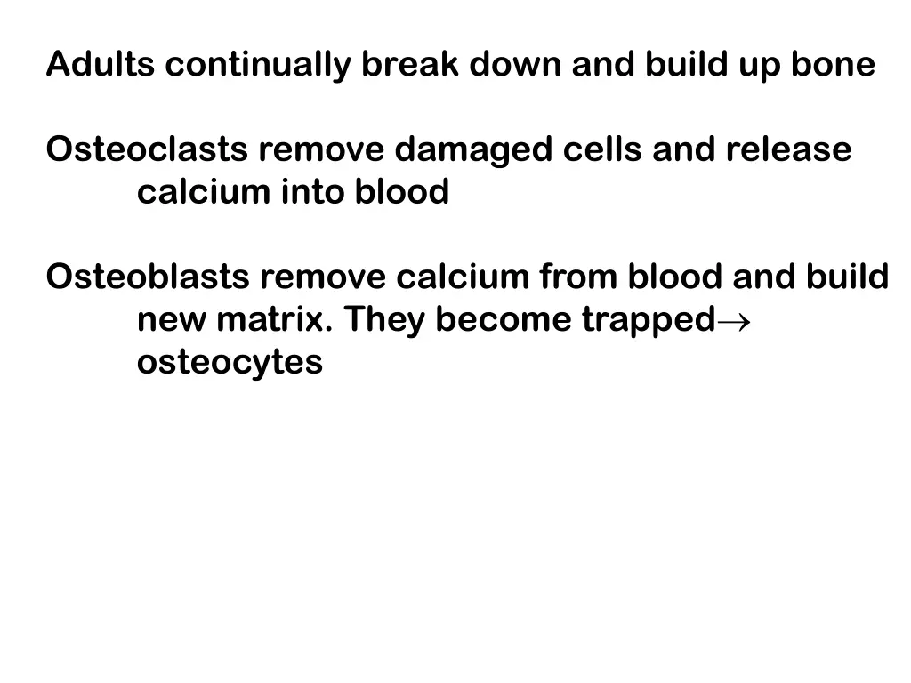 adults continually break down and build up bone