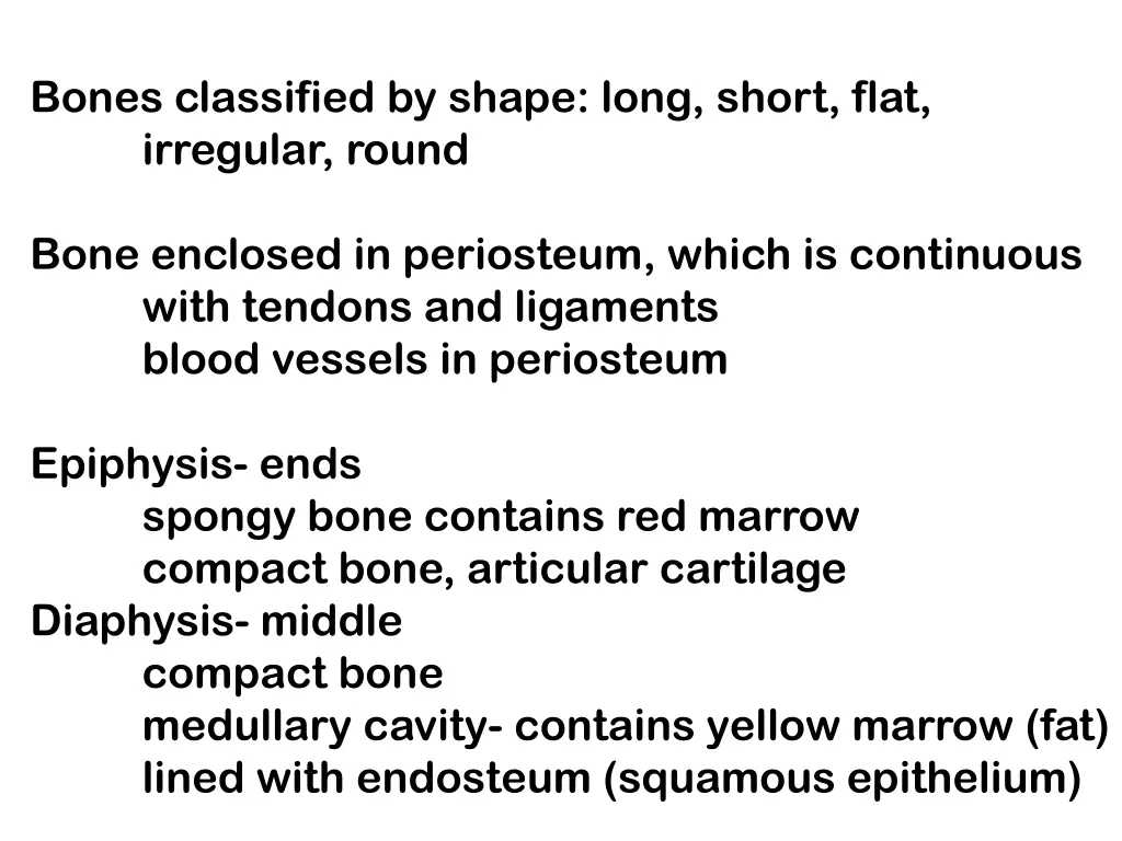 bones classified by shape long short flat