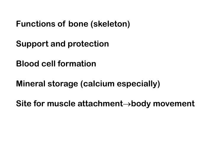 functions of bone skeleton