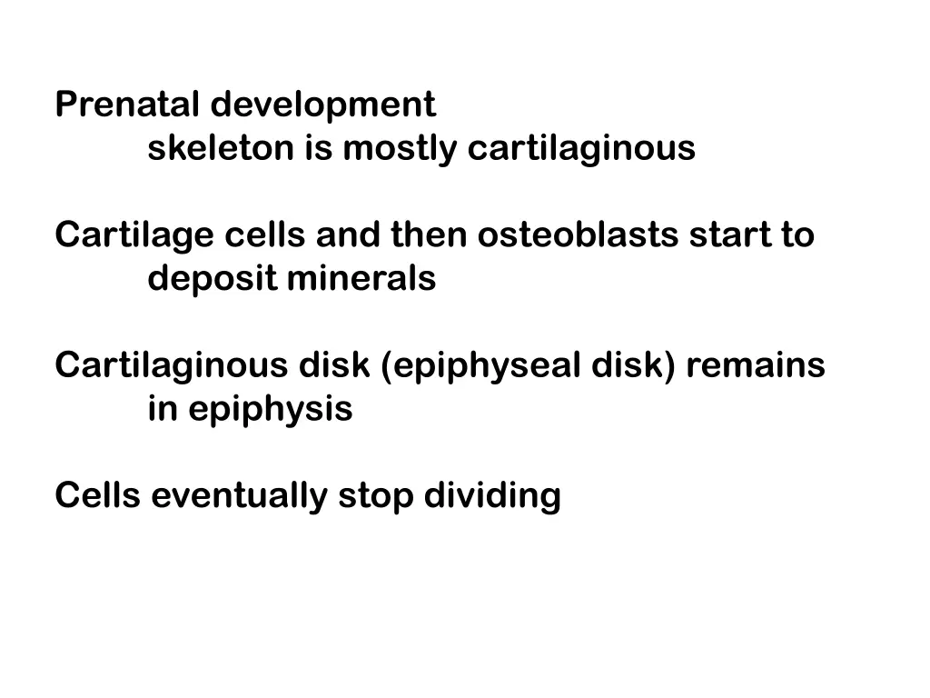 prenatal development skeleton is mostly