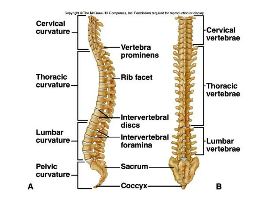 slide19