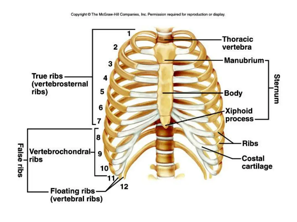 slide21