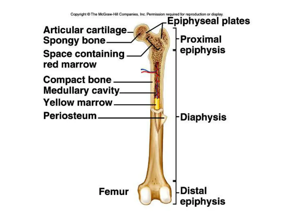 slide3