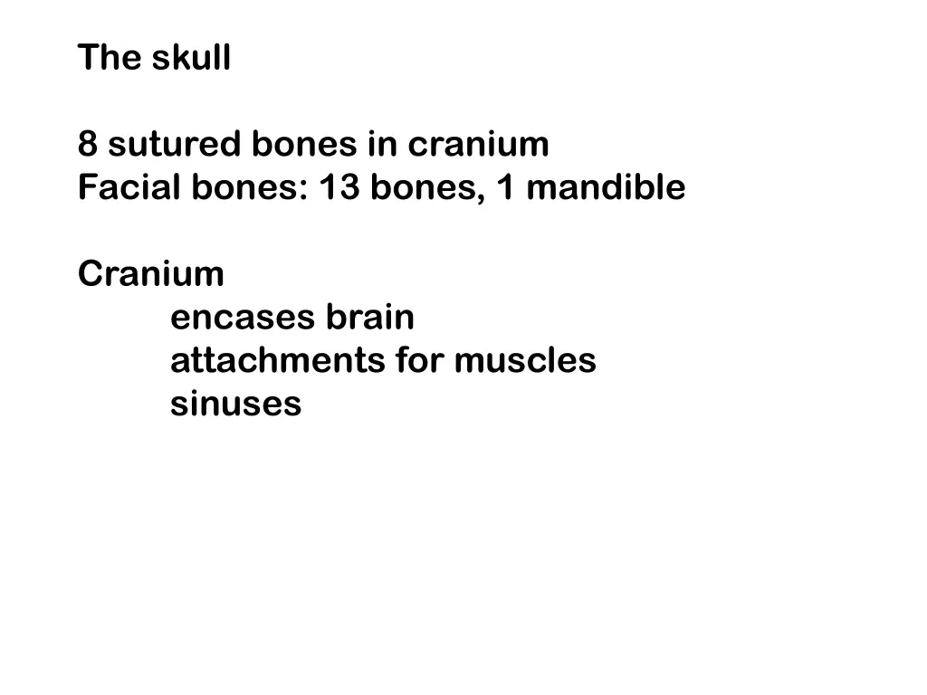the skull