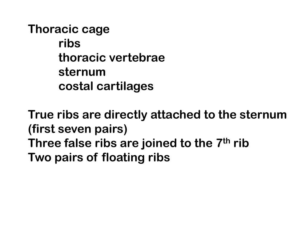 thoracic cage ribs thoracic vertebrae sternum