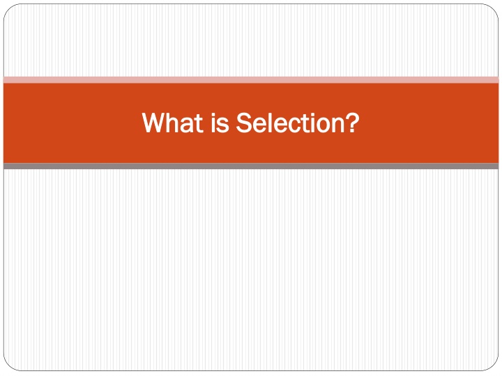what is selection what is selection