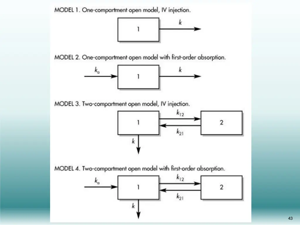 slide21