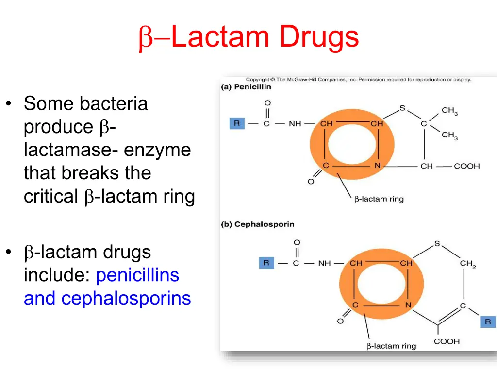 lactam drugs