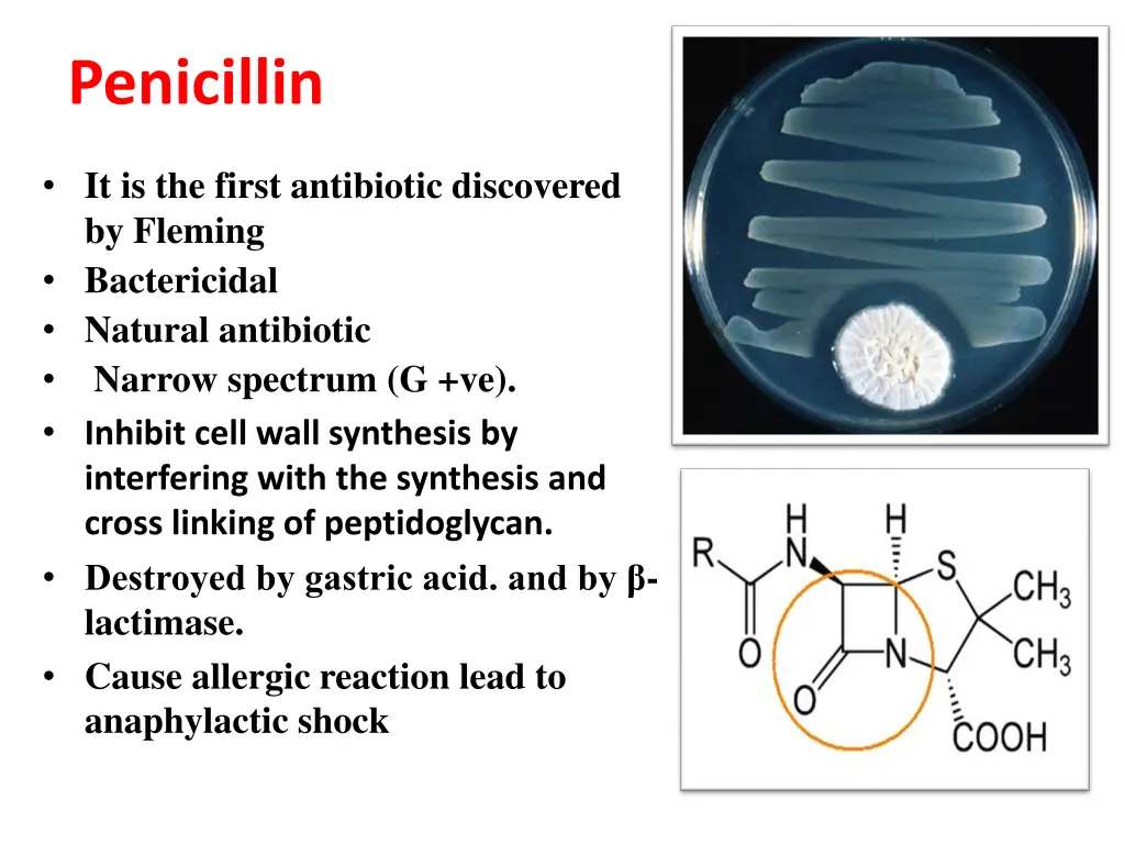 penicillin