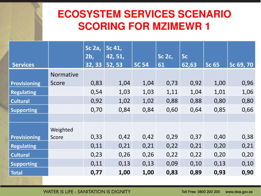 ecosystem services scenario scoring for mzimewr 1