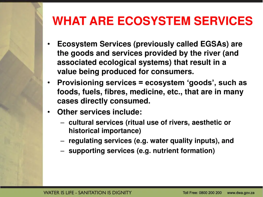 what are ecosystem services
