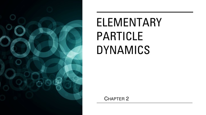 elementary particle dynamics