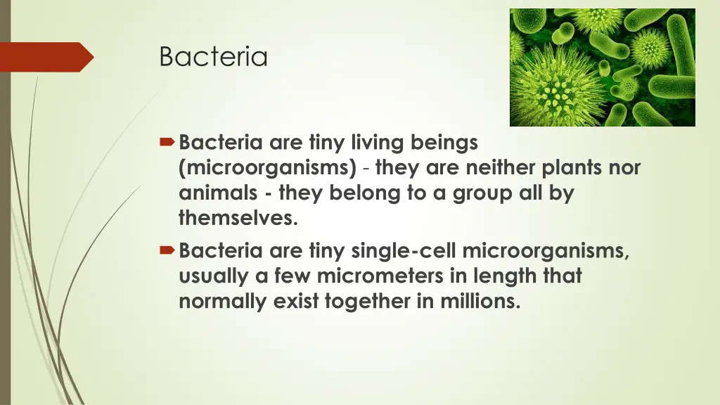 bacteria