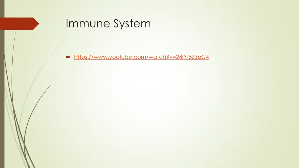immune system