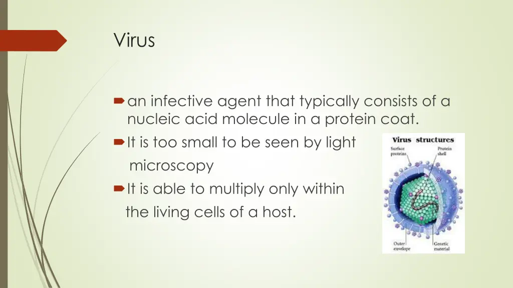virus
