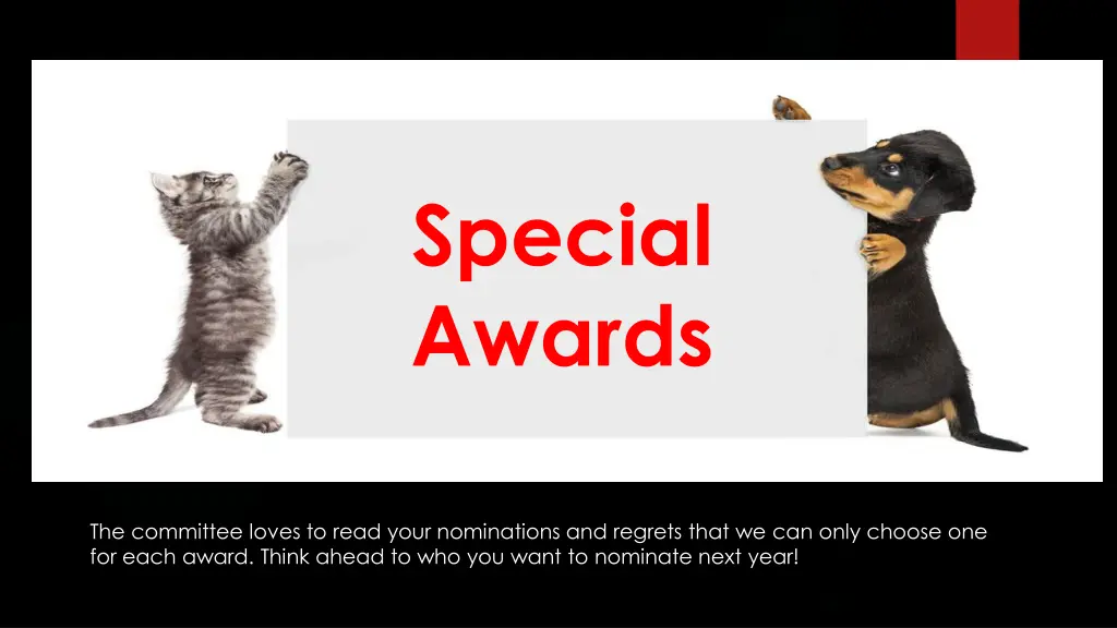 special awards