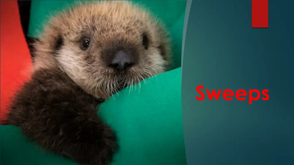 sweeps