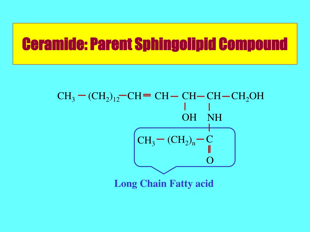 ceramide parent sphingolipid compound ceramide